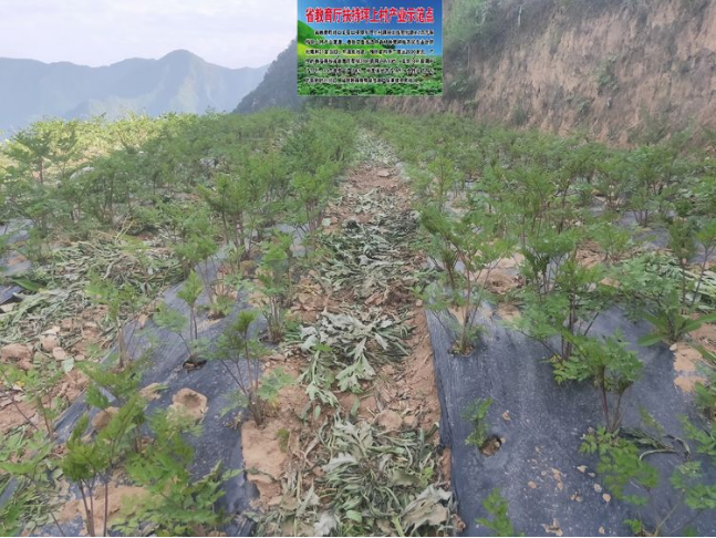 微信截图_20190714090724.png